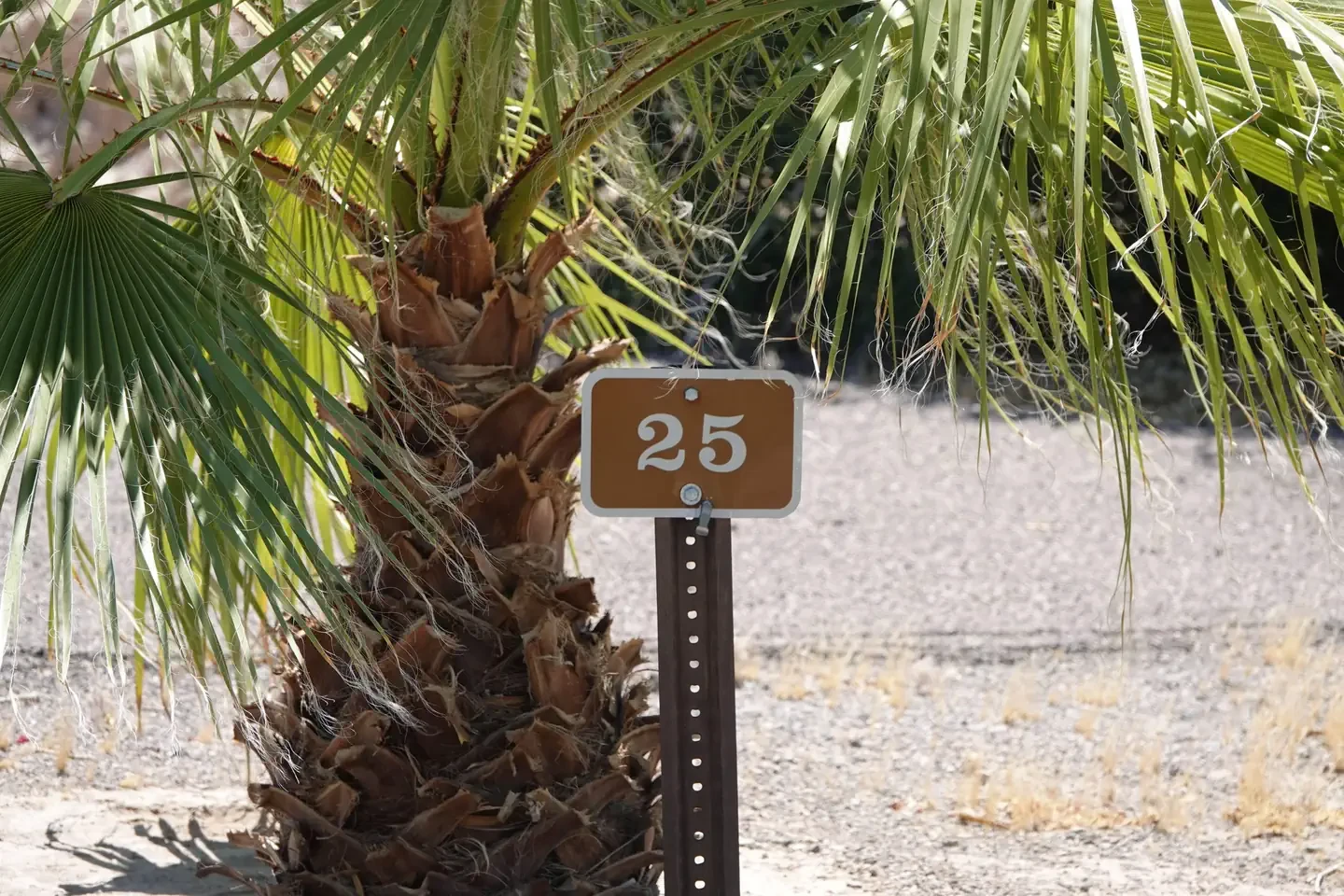Site 25