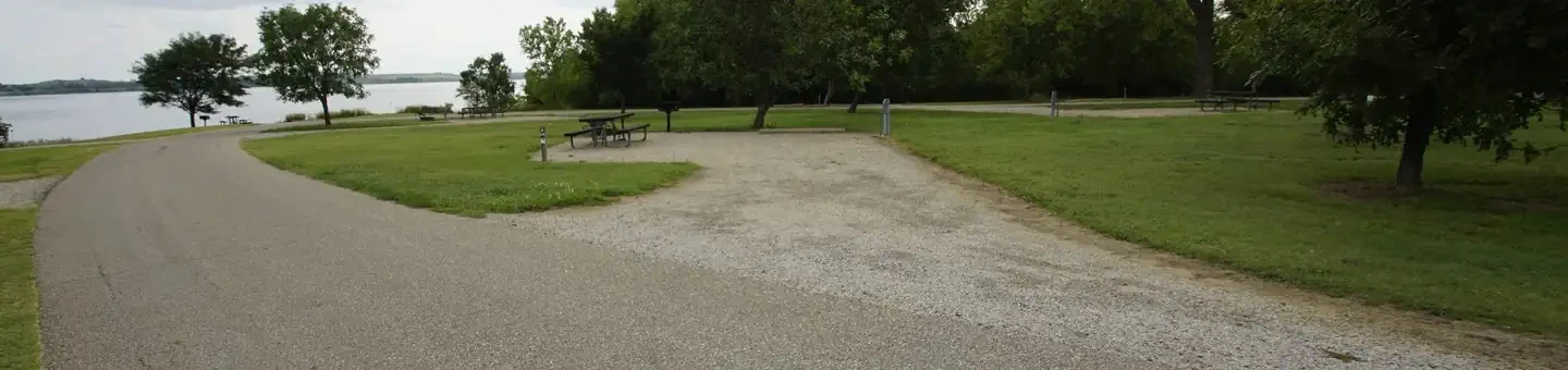 D29