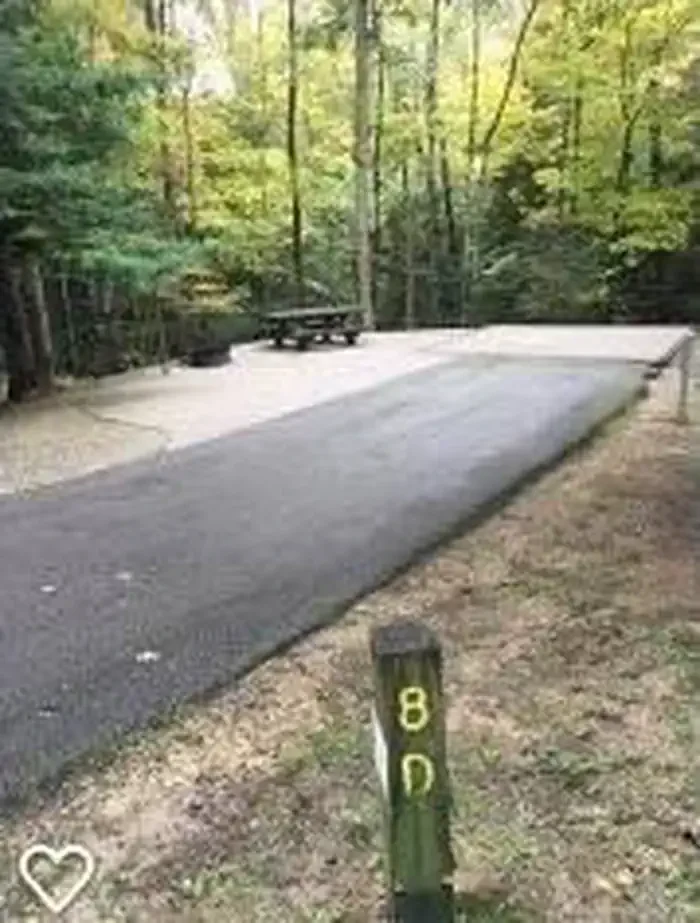 D08