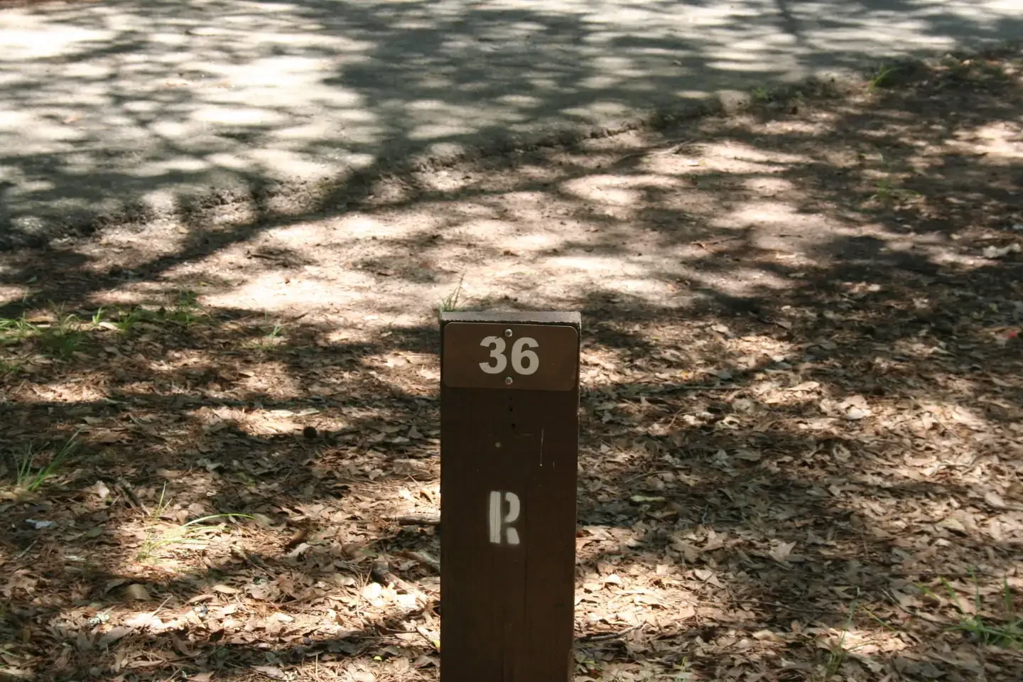 036