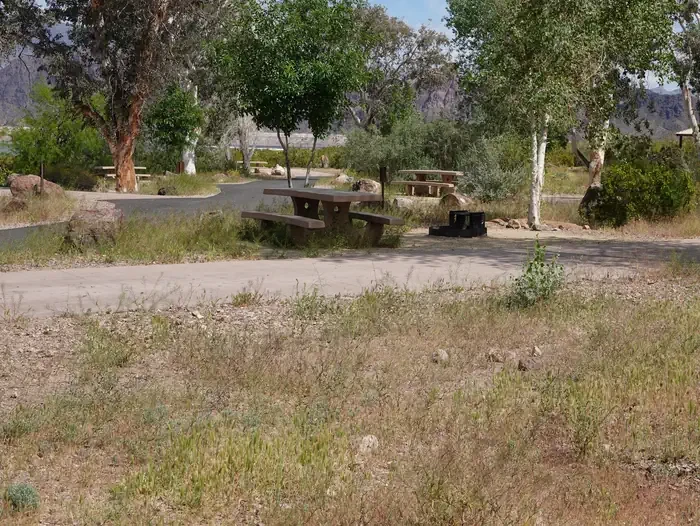 Site 82