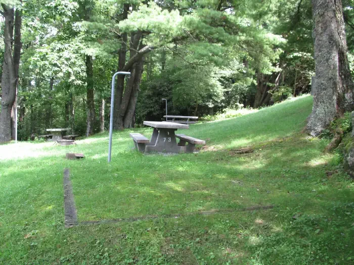 Group Site 1