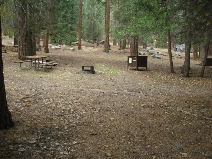 Site: 111