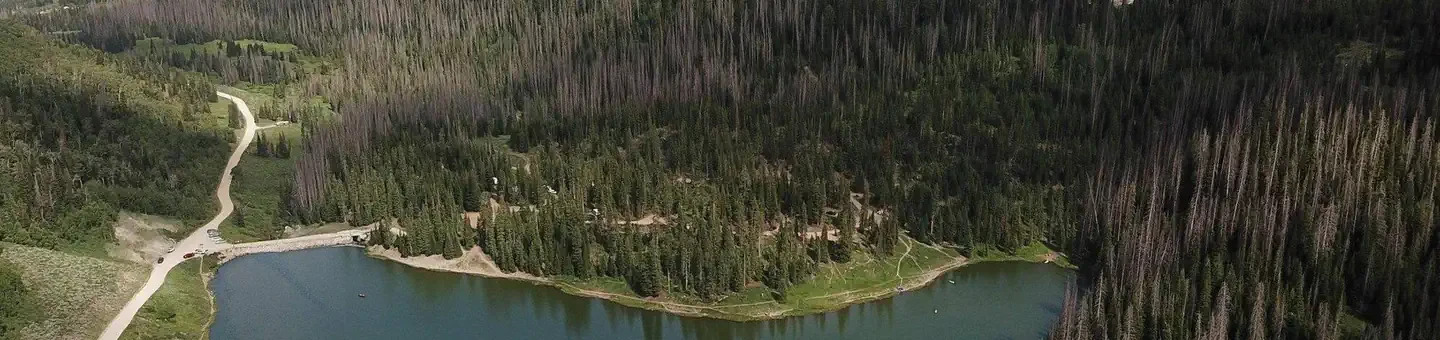 Mill Hollow