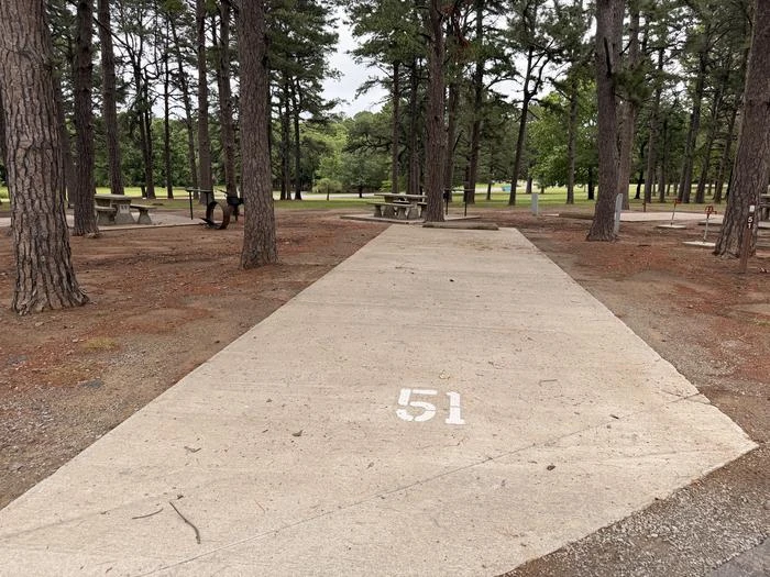 51