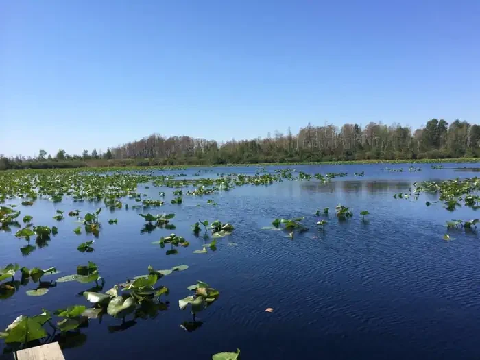Bluff Lake