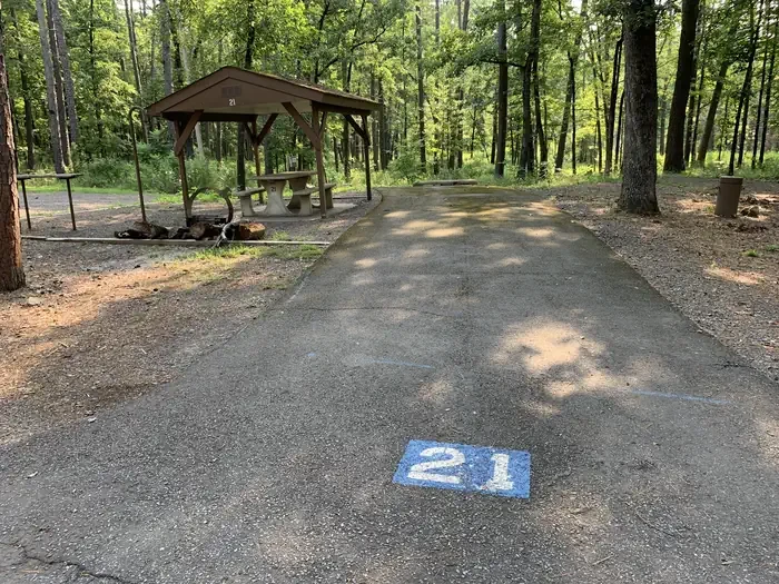 21