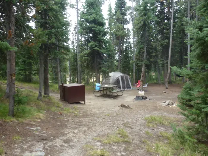 Lewis Lake site #14