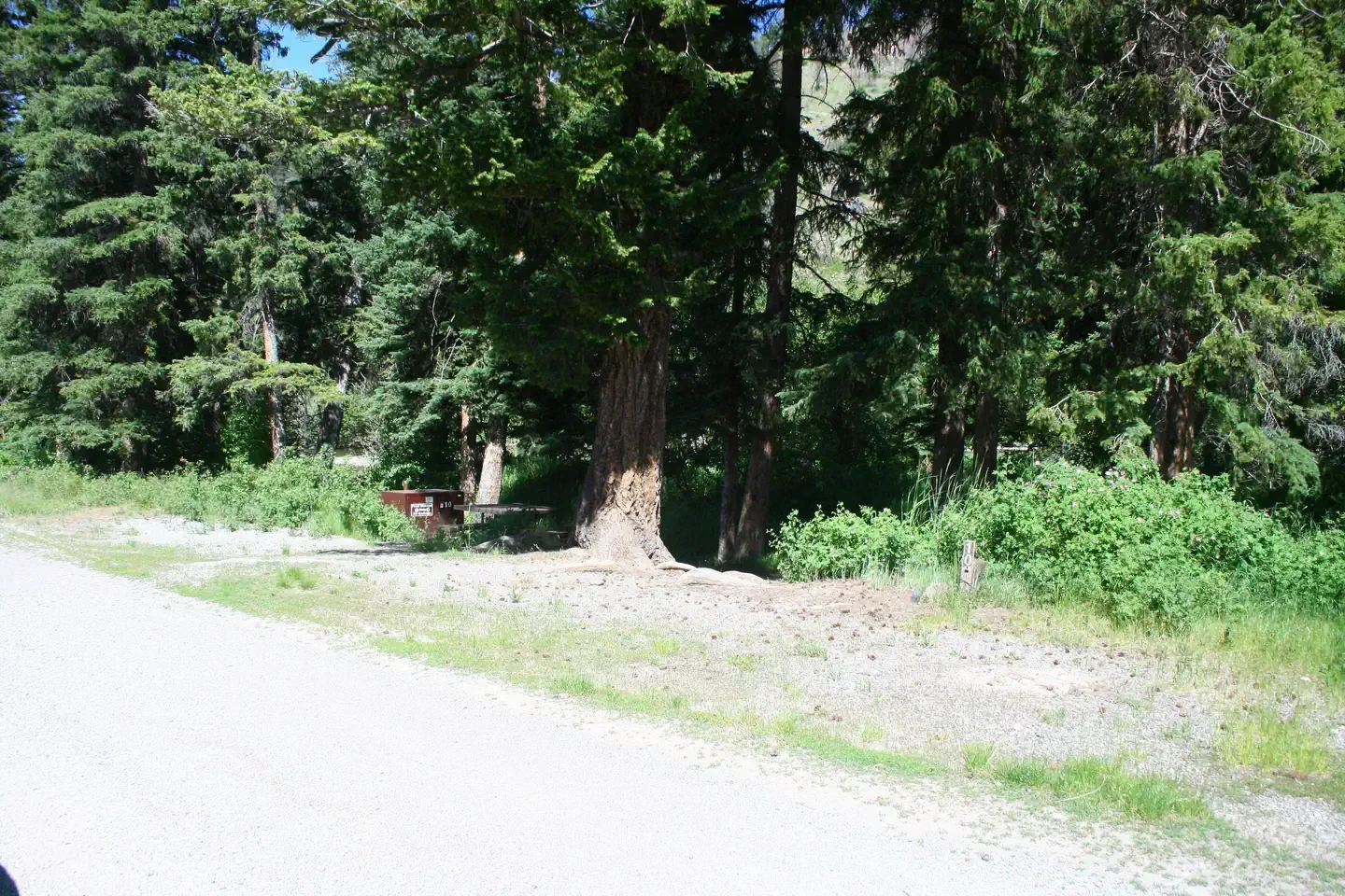 Slough Creek site #10