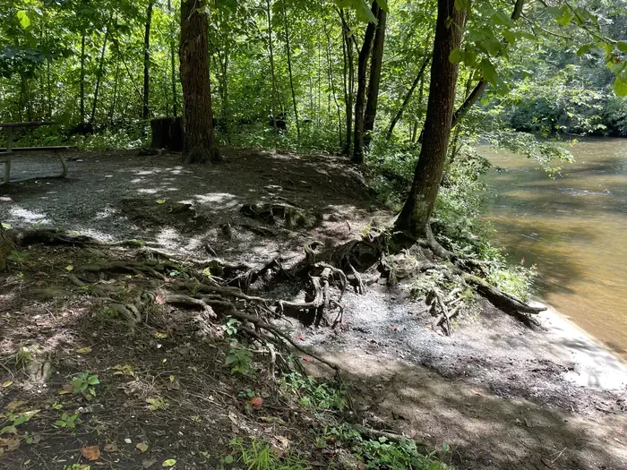 A09