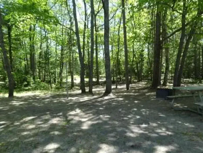 Bay View (Hiawatha National Forest, MI)