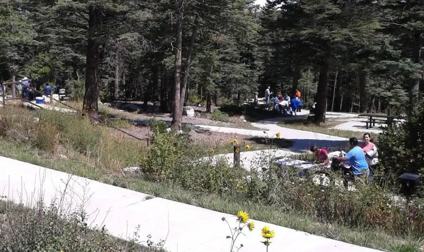 Capulin Spring Picnic Site