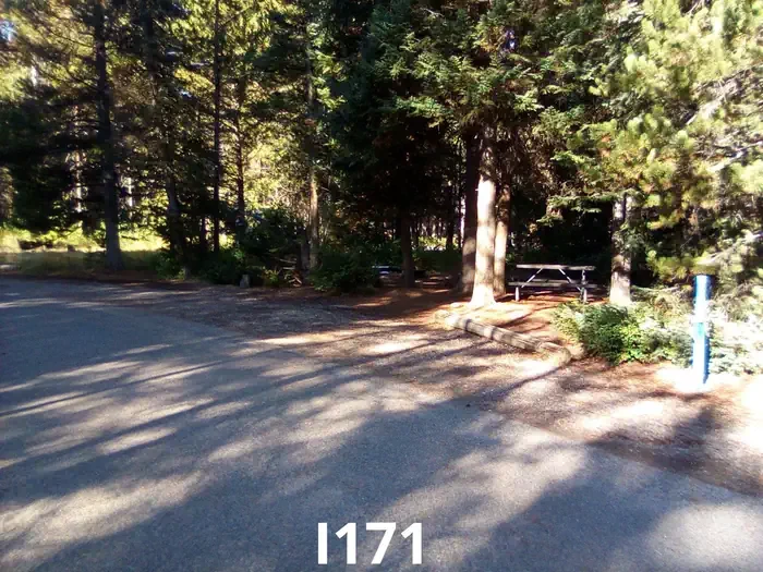 171