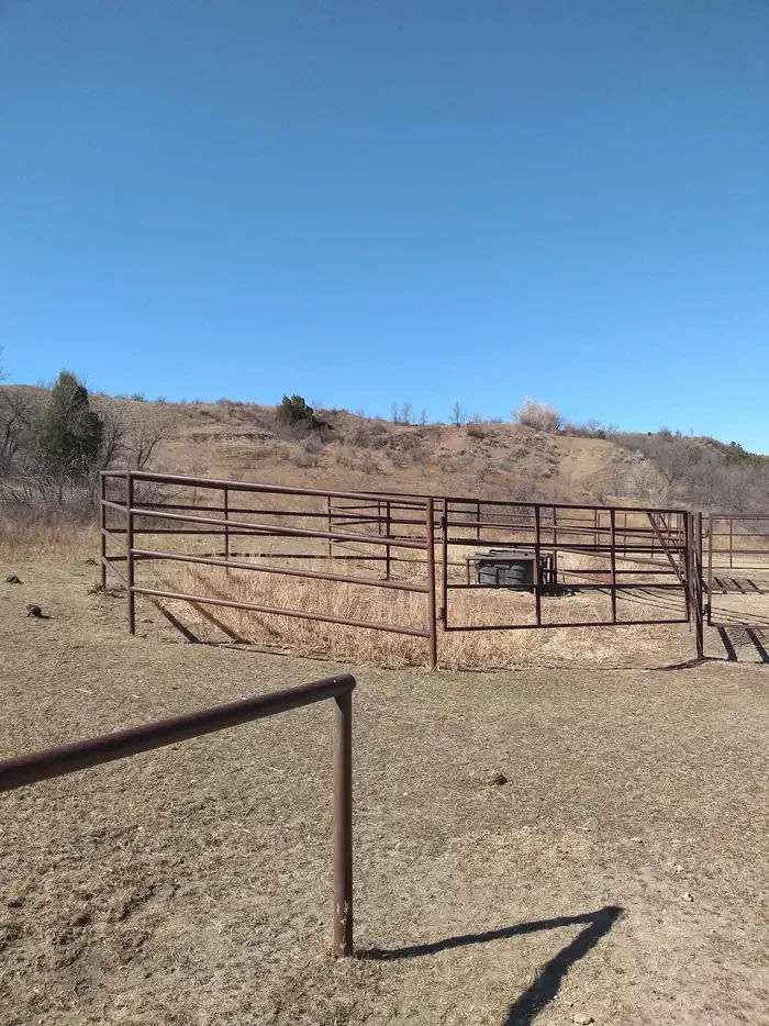 Horse Camp