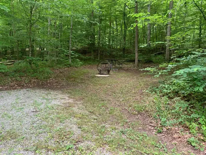 E-13