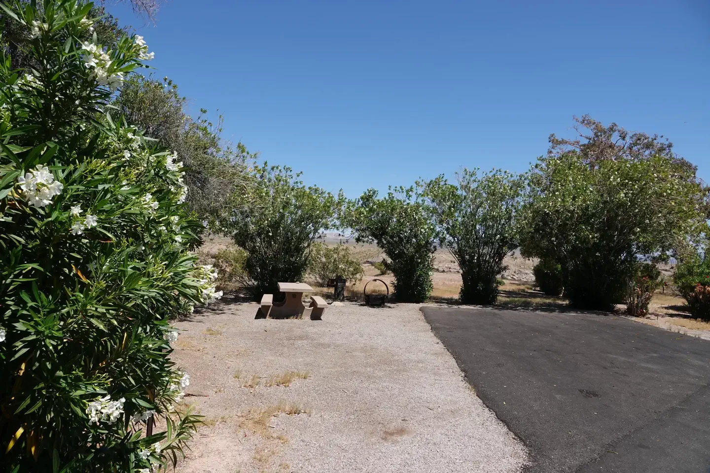 Site 44