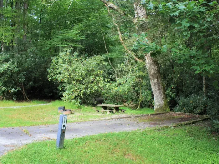 E15