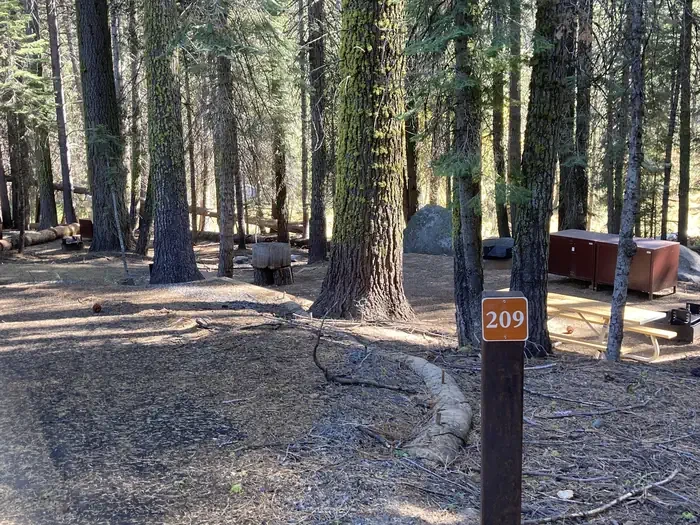 209-Double