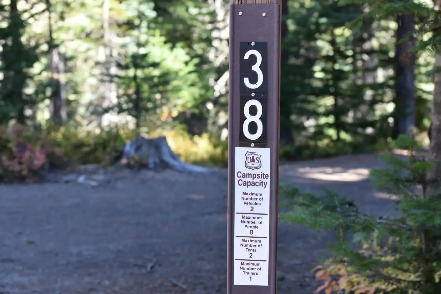 38