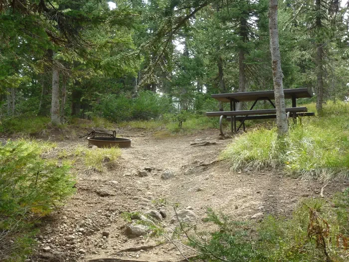 Lewis Lake site #27