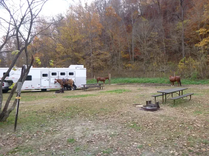 27 - Horse Site