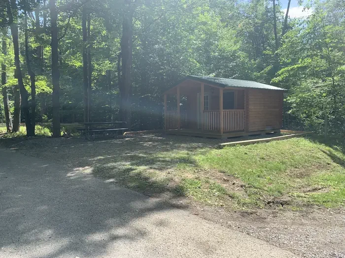 Cabin 1