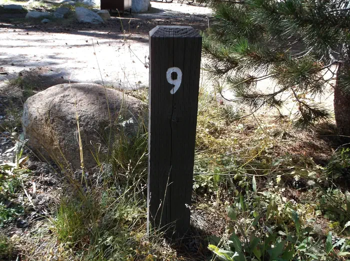 009