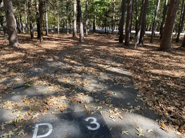 D03