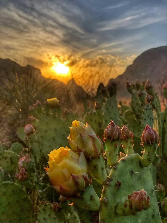 Rio Grande Village (Big Bend, TX)