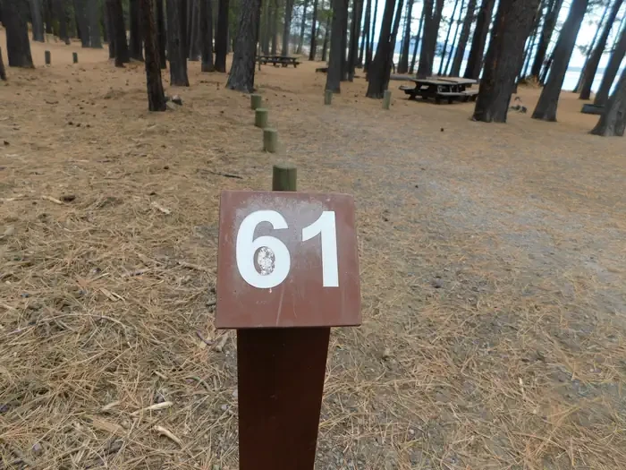 061