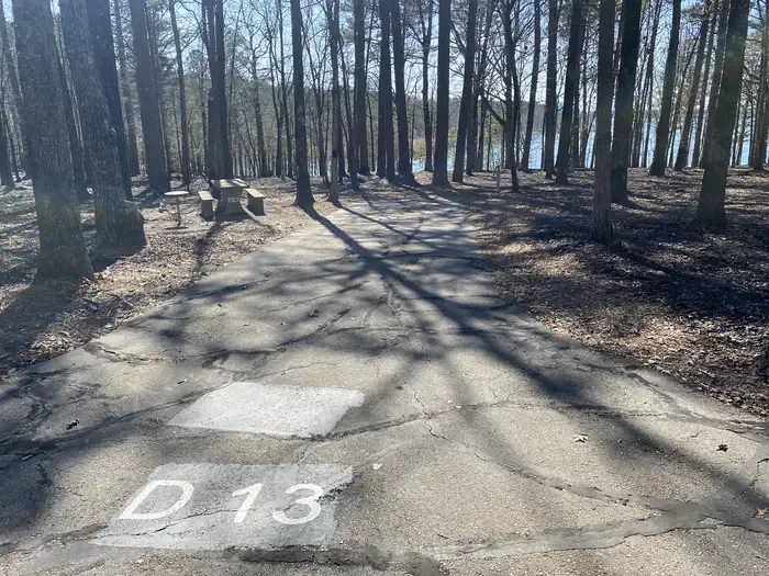 D13