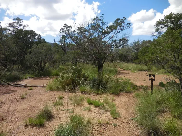 Juniper Flat 3