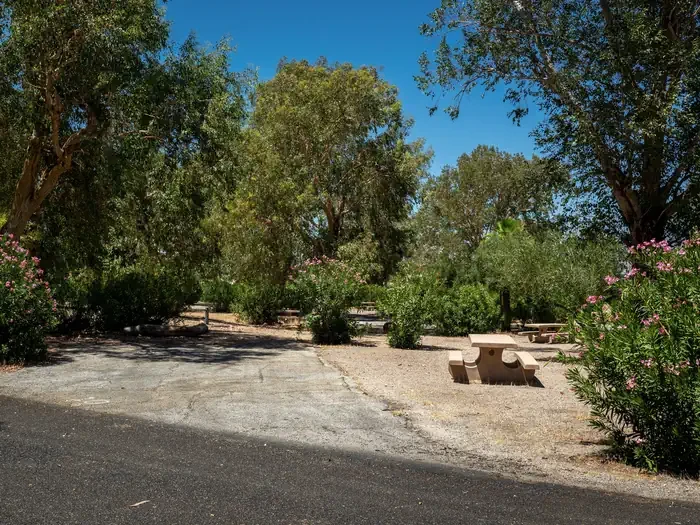 Site 10