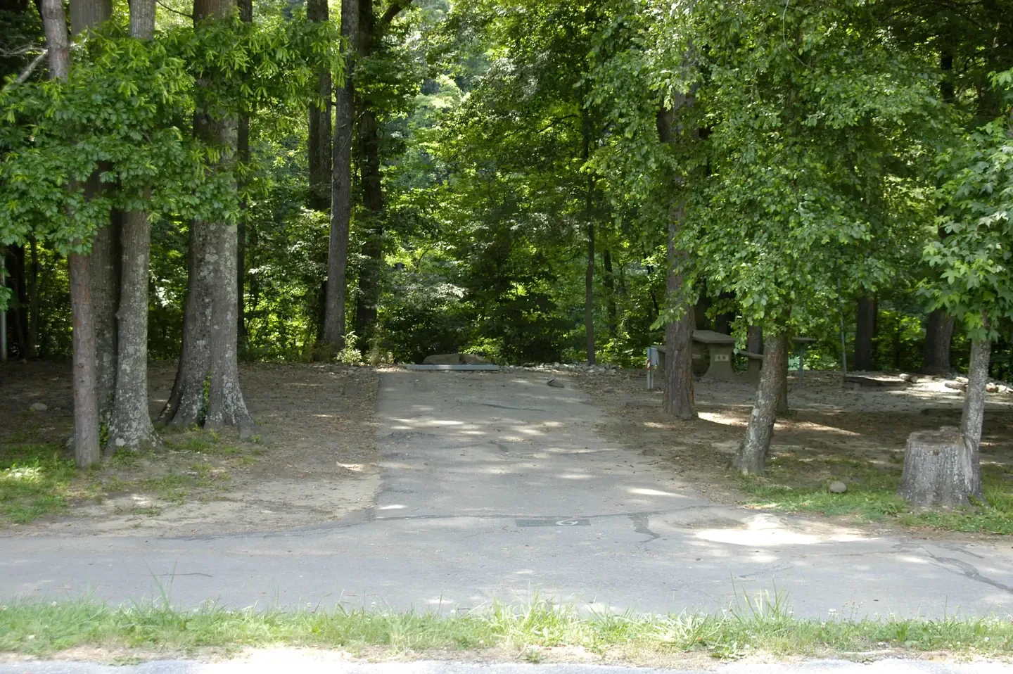 A06