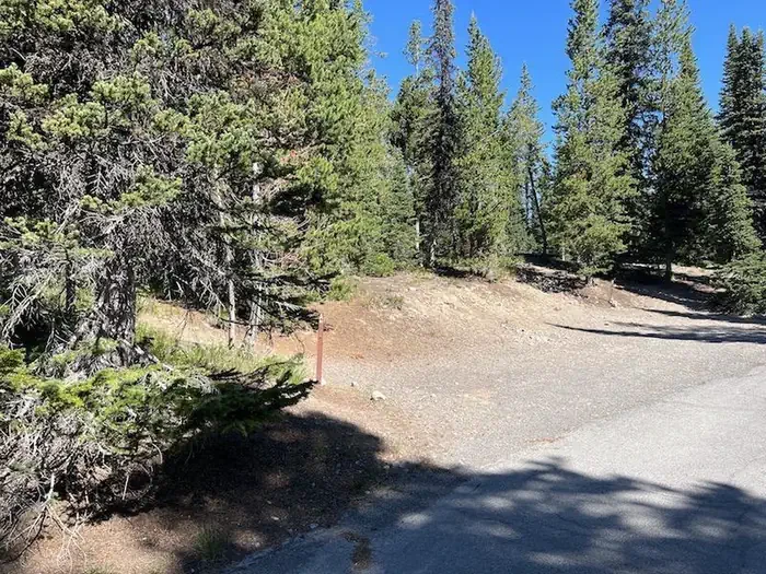 Lewis Lake site #83