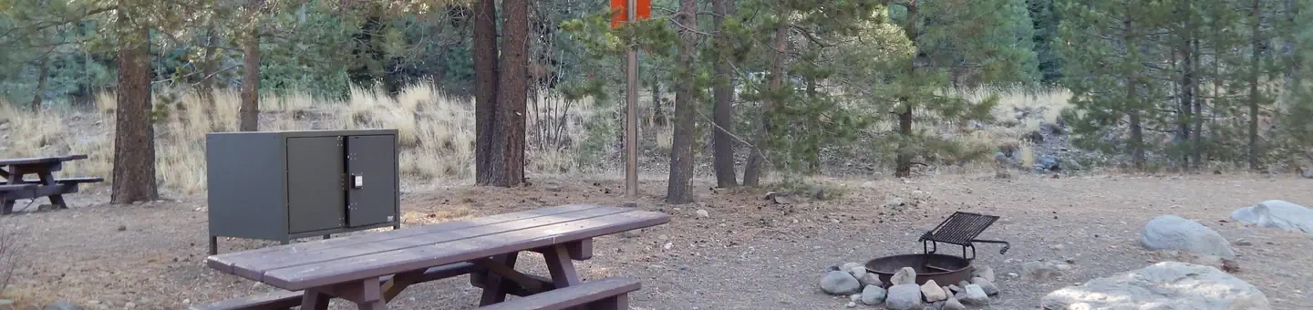 007