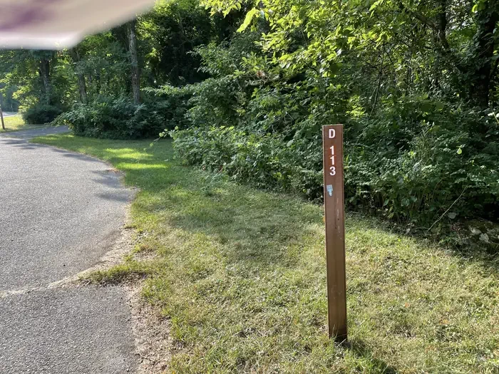 D113