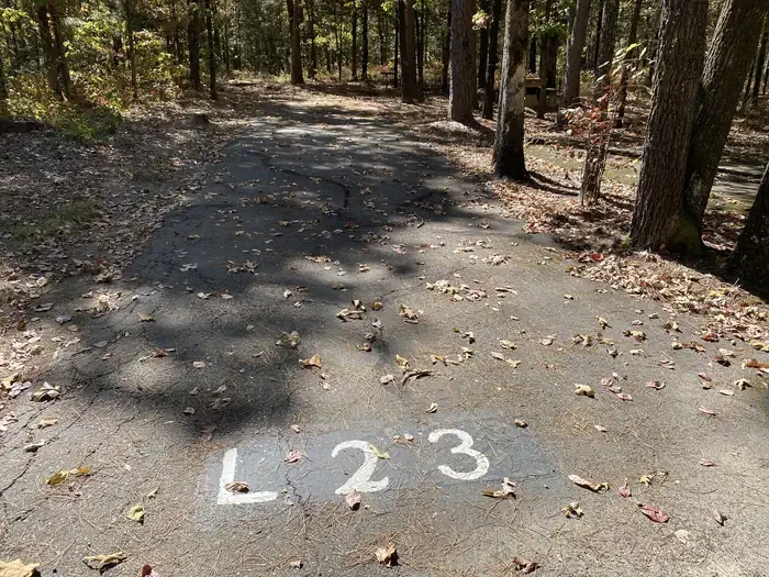 L23