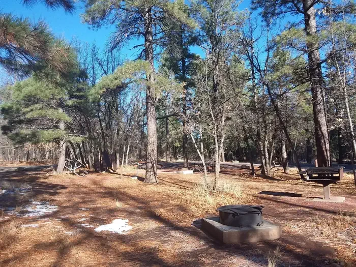 Moqui Group Campground Simmons