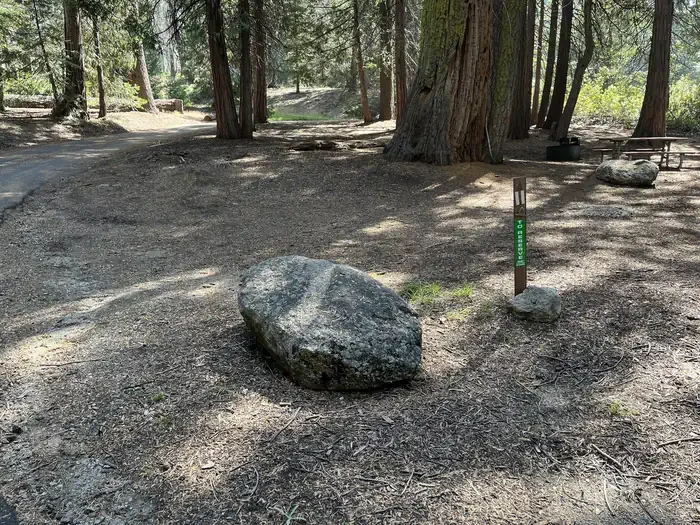 Site:  11