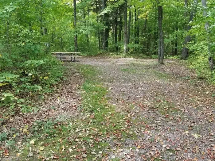 S006