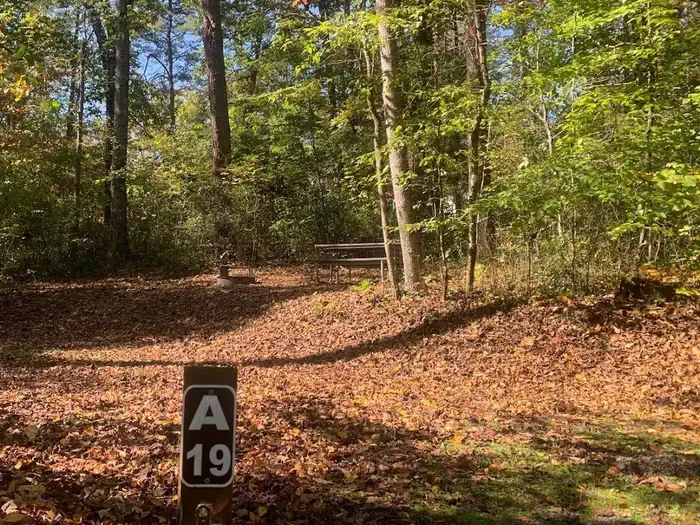 A-19