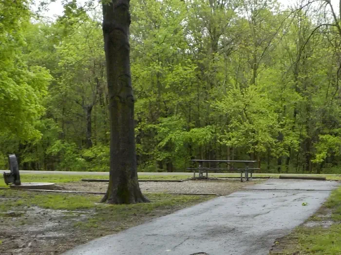 068