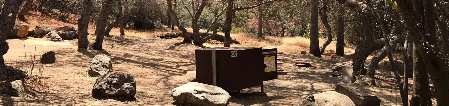 23