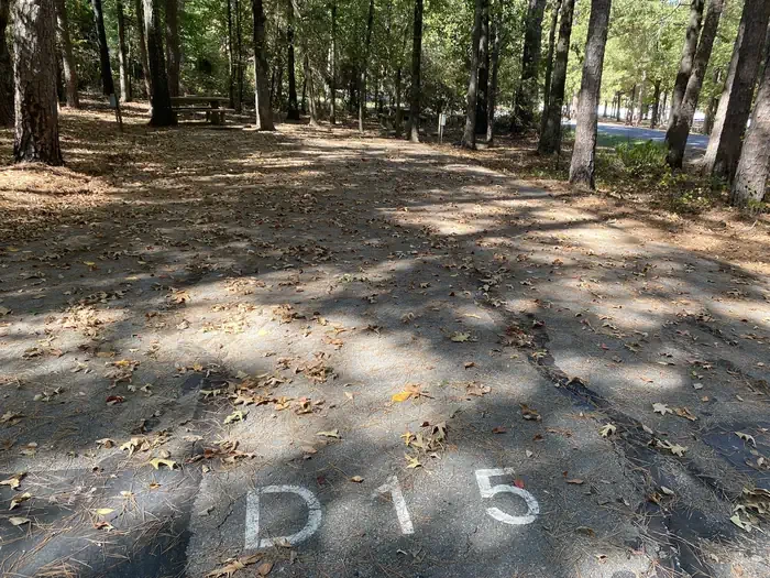 D15