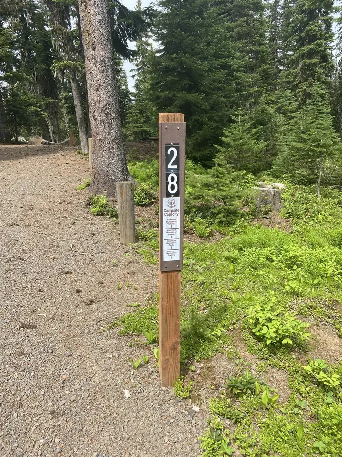 28