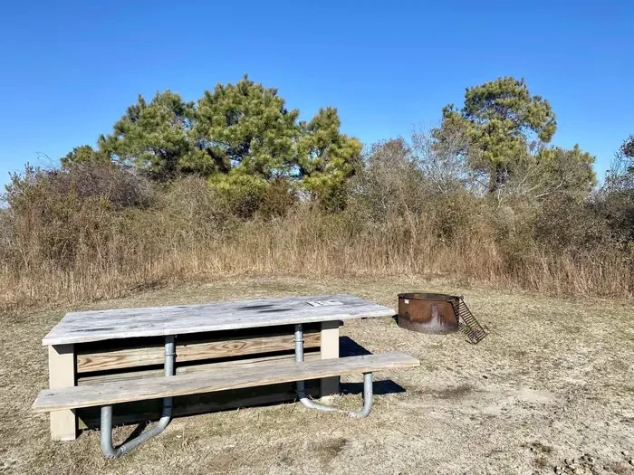 A13