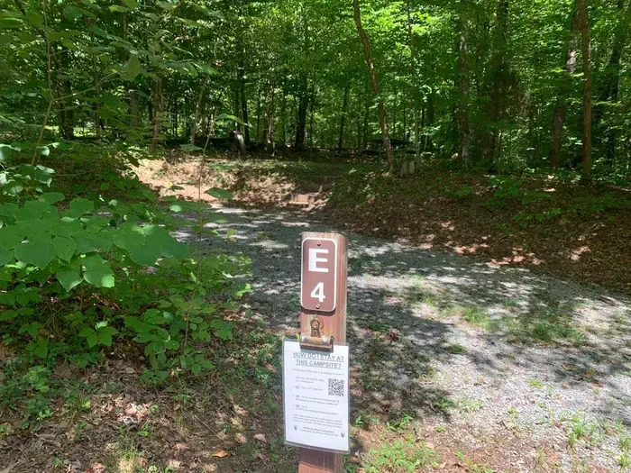 E-04