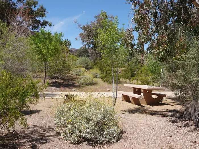 Site 20