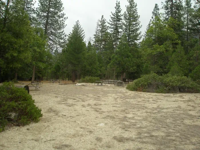 Site D